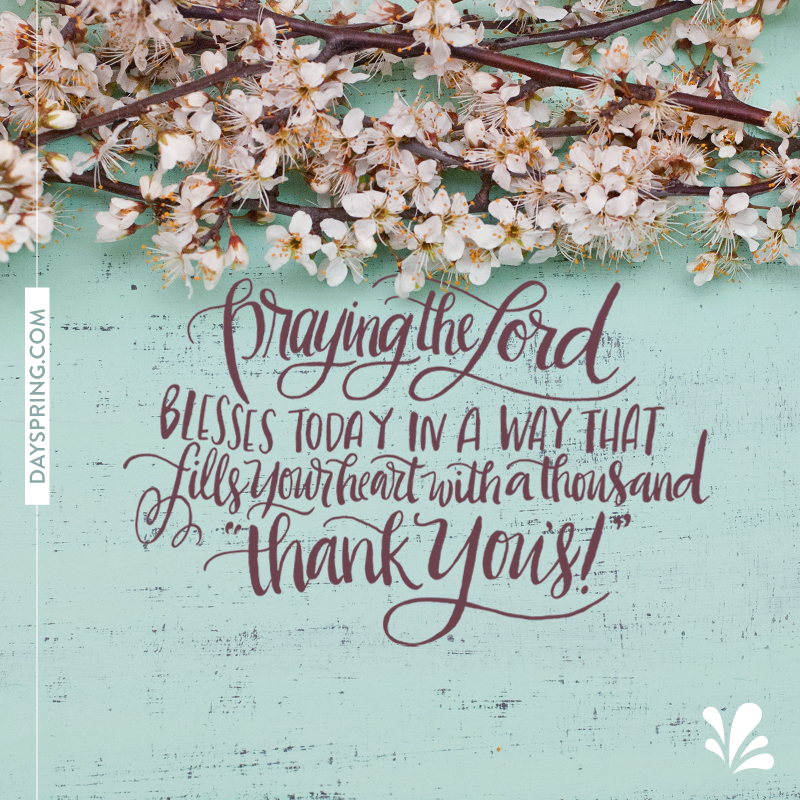 Praying For You Ecards | DaySpring