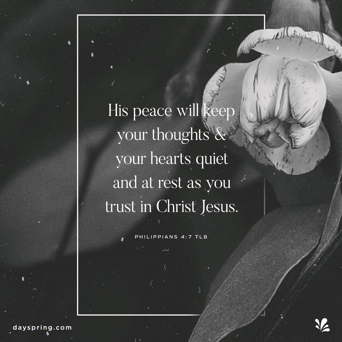 Trust In Christ