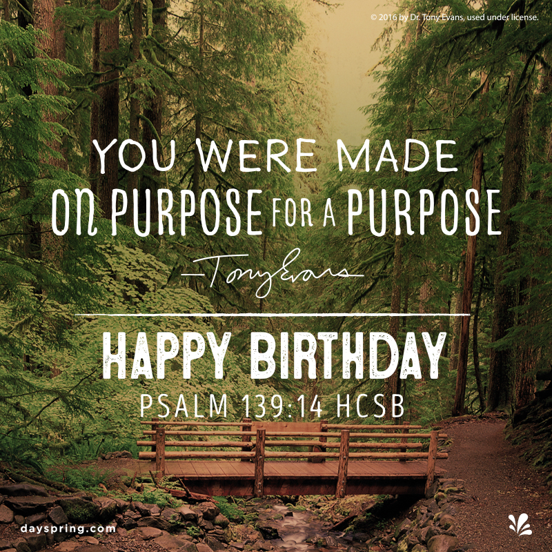 Birthday Ecards | DaySpring