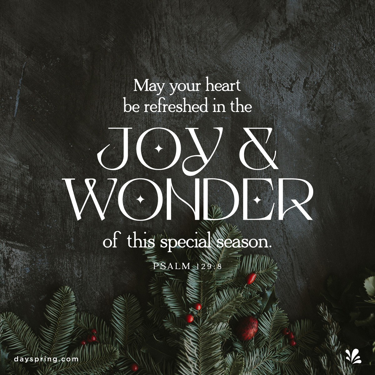 Joy & Wonder of Christmas