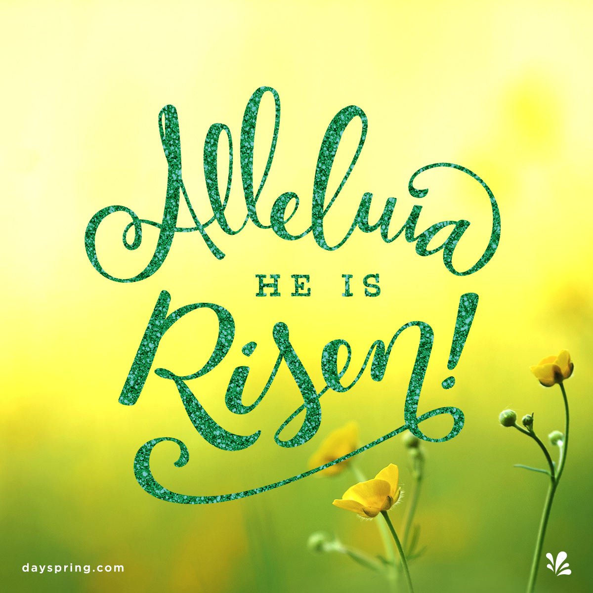 Easter Ecards | DaySpring