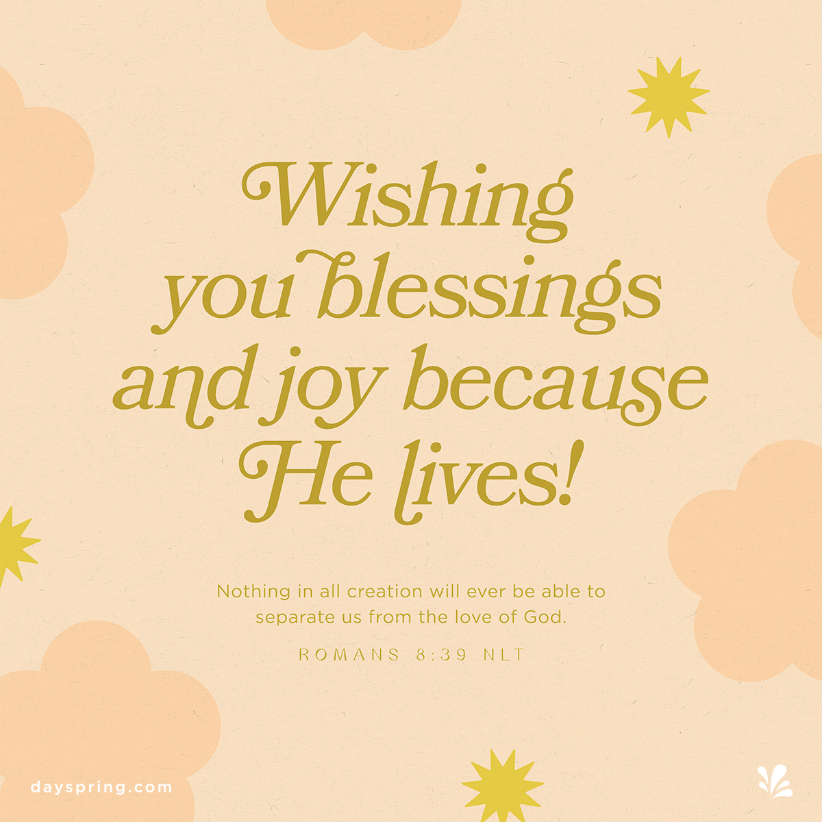 Blessings & Joy
