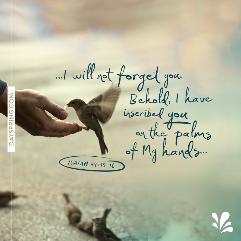 I Will Not Forget You