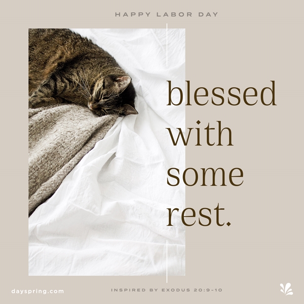 Blessed with Rest